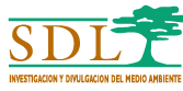 Dibulgacion